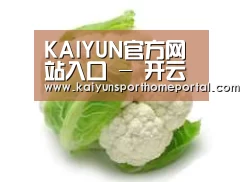 产品名称九