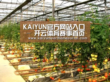 种植基地二