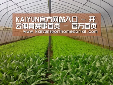 种植基地四
