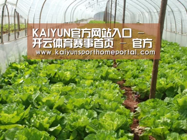种植基地五
