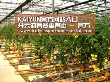 种植基地二(图1)