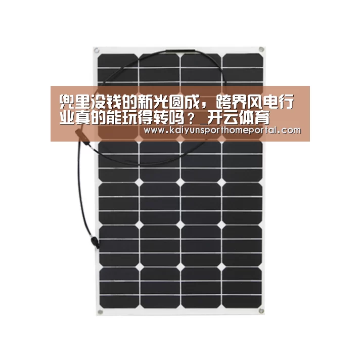 兜里没钱的新光圆成,跨界风电行业真的能玩得转吗?_开云体育(图2) 开云体育稳定访问