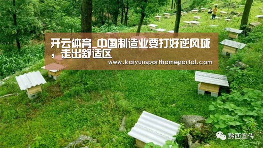 开云体育